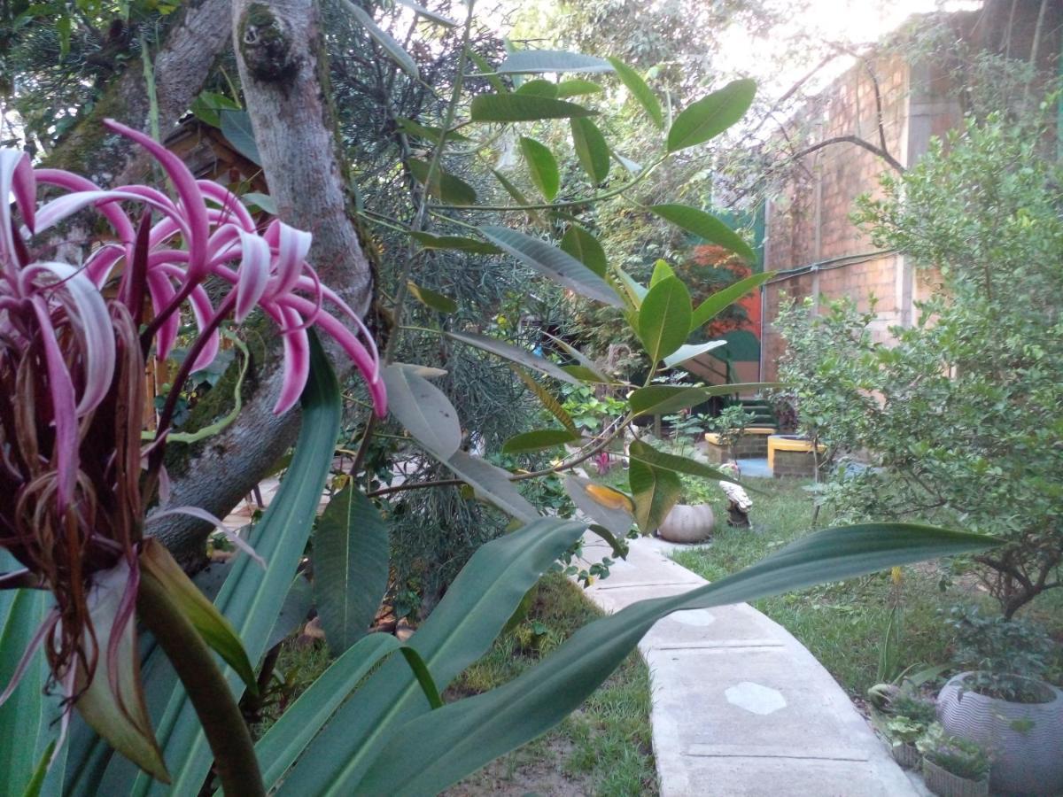 Montecarlos Hotel Ibagué Kültér fotó
